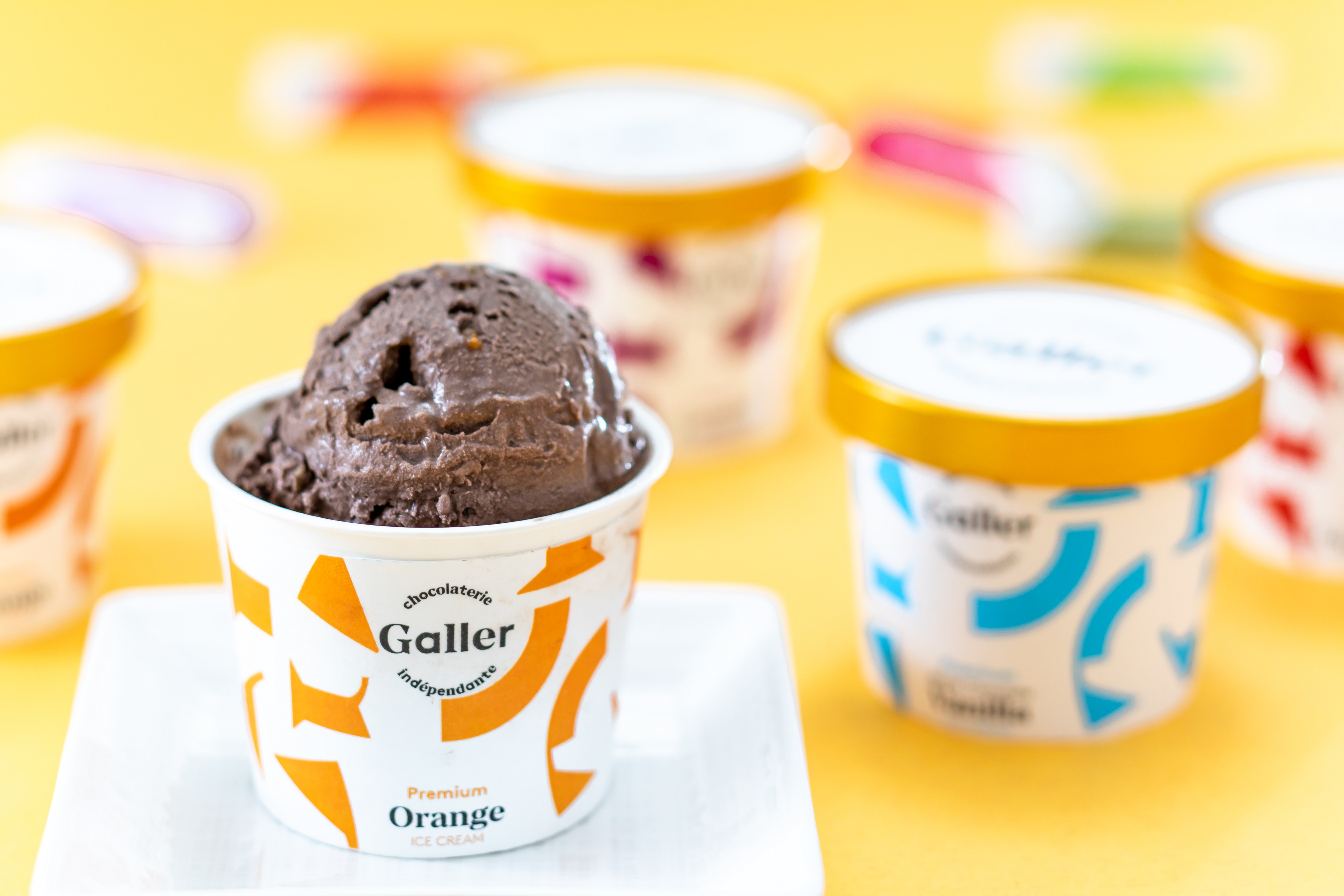 【送料無料】【冷凍】ガレー プレミアムアイスクリームセット 8個
