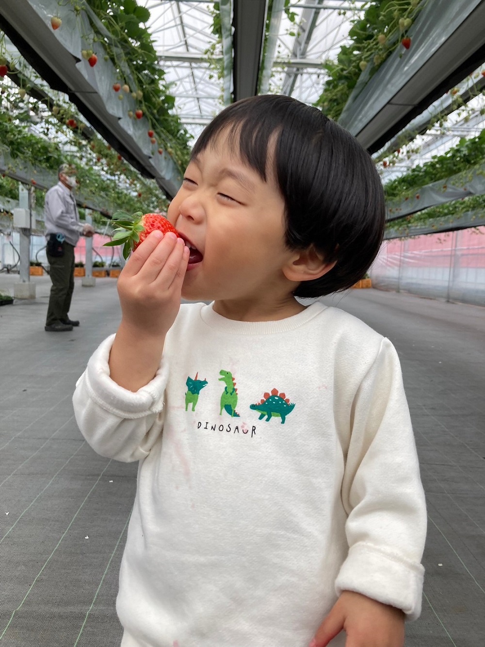 【送料無料】粒ぞろい！いただきいちご園の紅白いちご４品種食べ比べセット