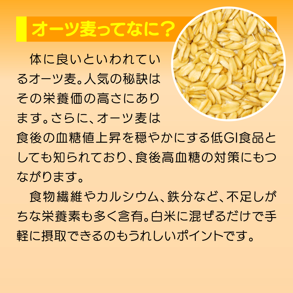 オーツ麦ご飯の素 2個セット