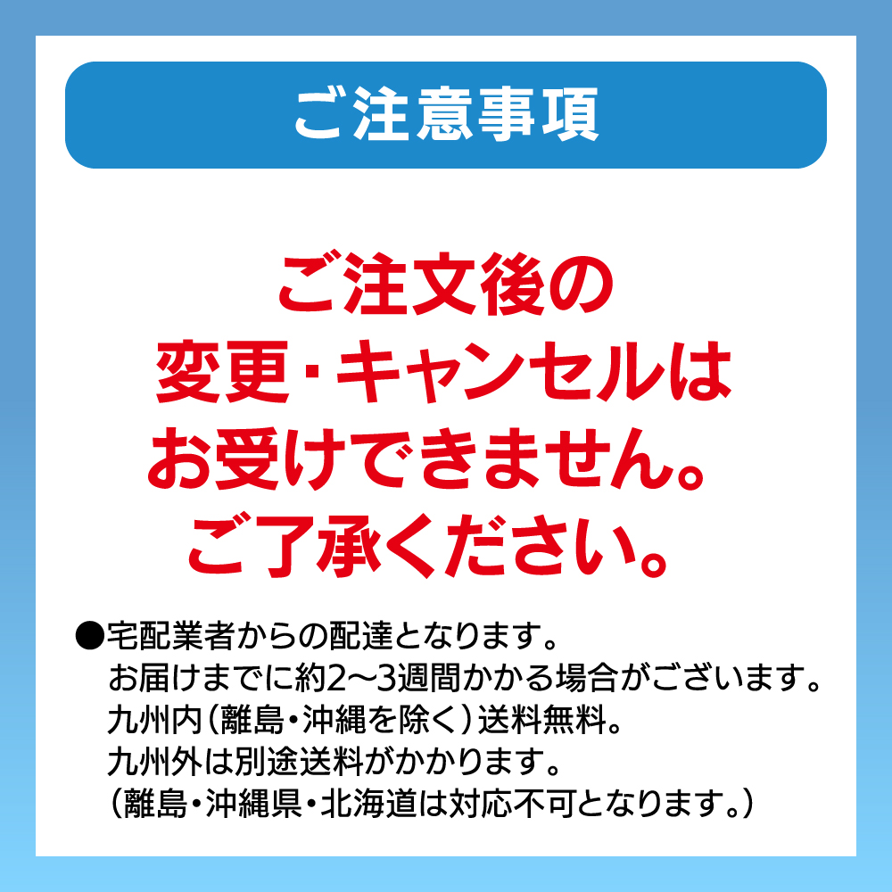 リビングマッサージチェア T24 TR-Z1