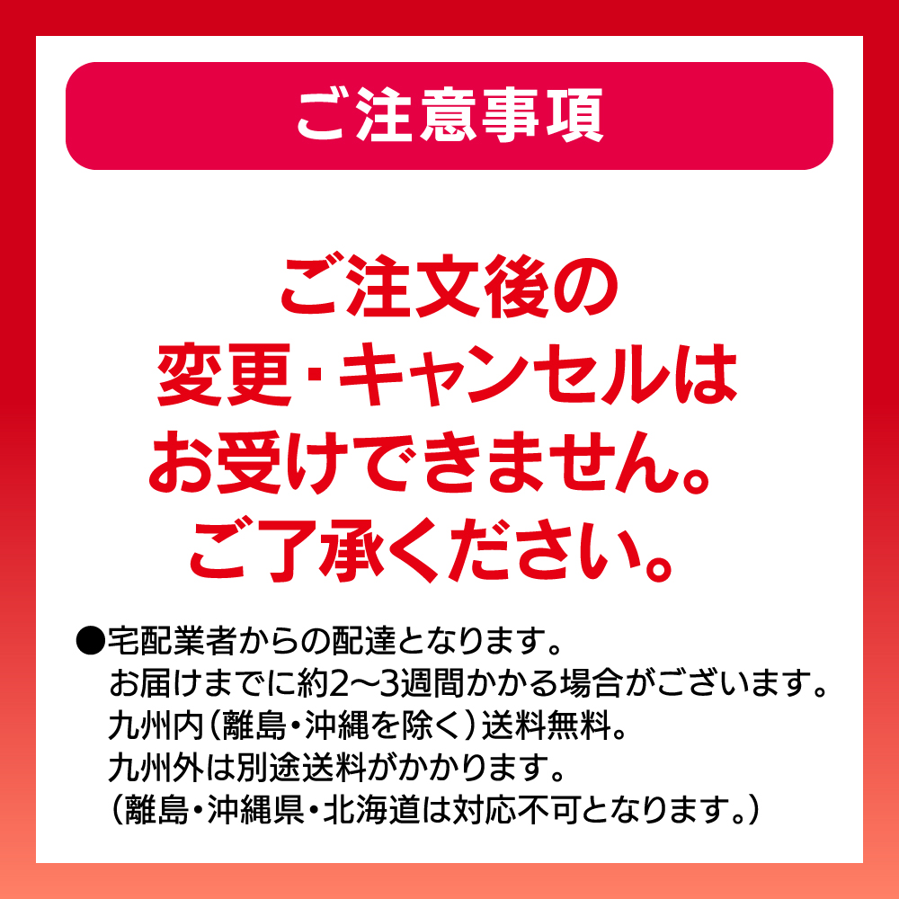 フジシートマッサージャー T21 TR-S2