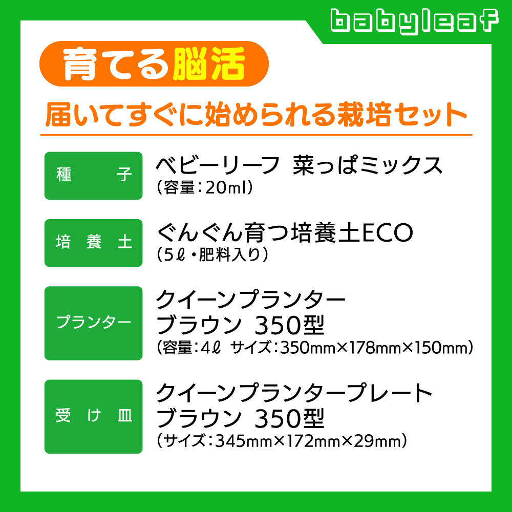 脳活菜園 ベビーリーフ栽培セット