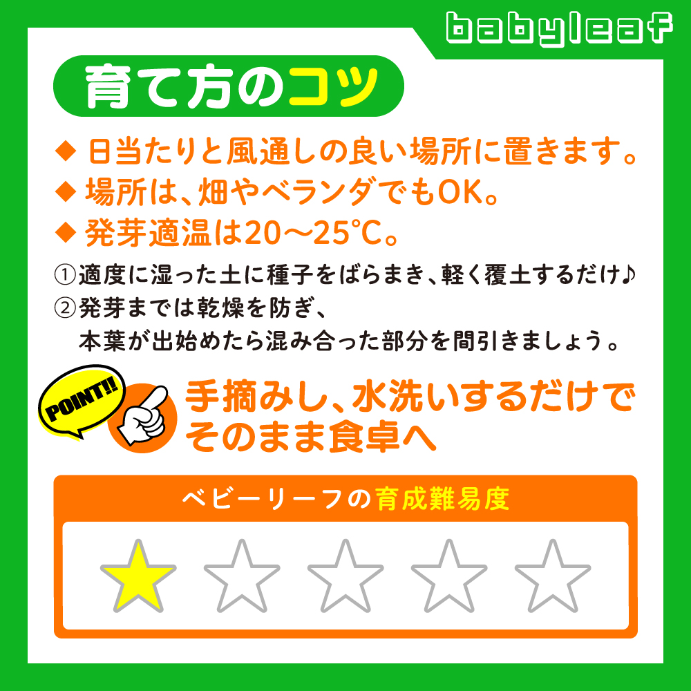 脳活菜園 ベビーリーフ栽培セット