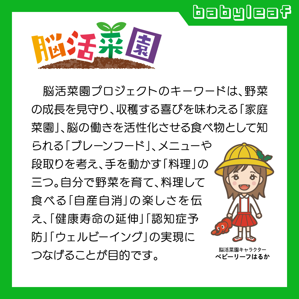 脳活菜園 ベビーリーフ栽培セット