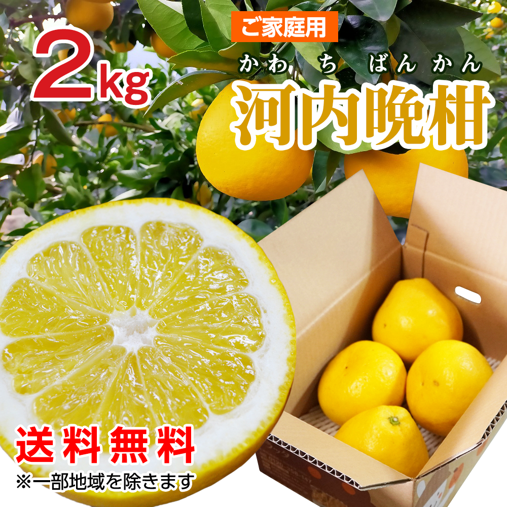 ご家庭用「河内晩柑」2kg