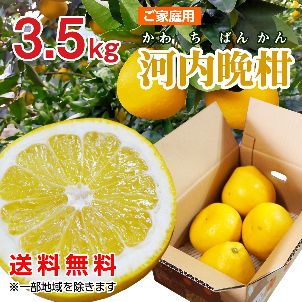 ご家庭用「河内晩柑」 3.5kg