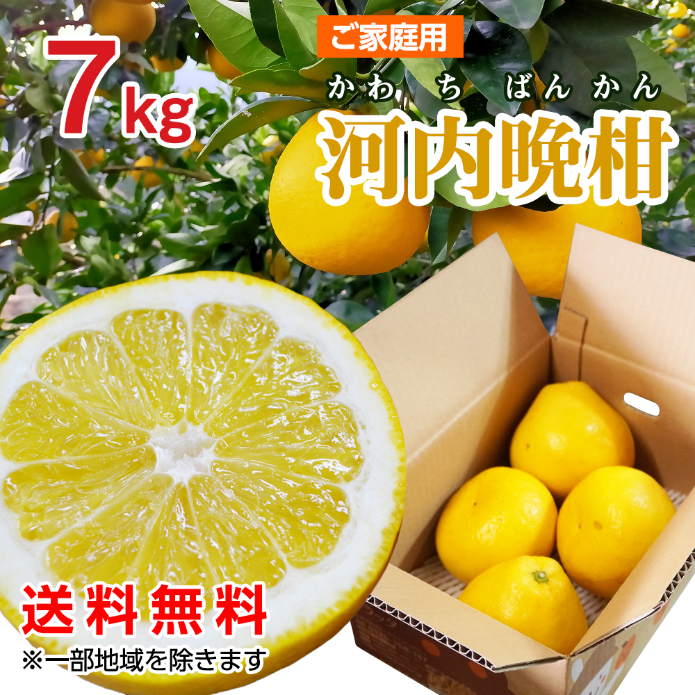 ご家庭用「河内晩柑」 7kg