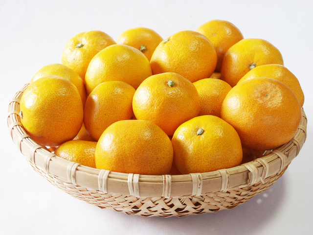 濃厚小粒みかん「ひとしずく 」2.5㎏