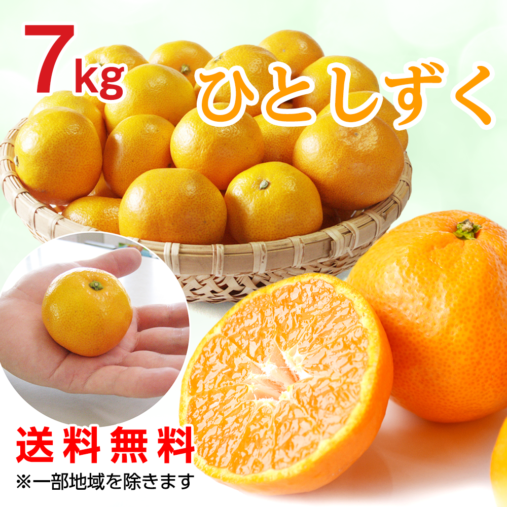 濃厚小粒みかん「ひとしずく 」7㎏