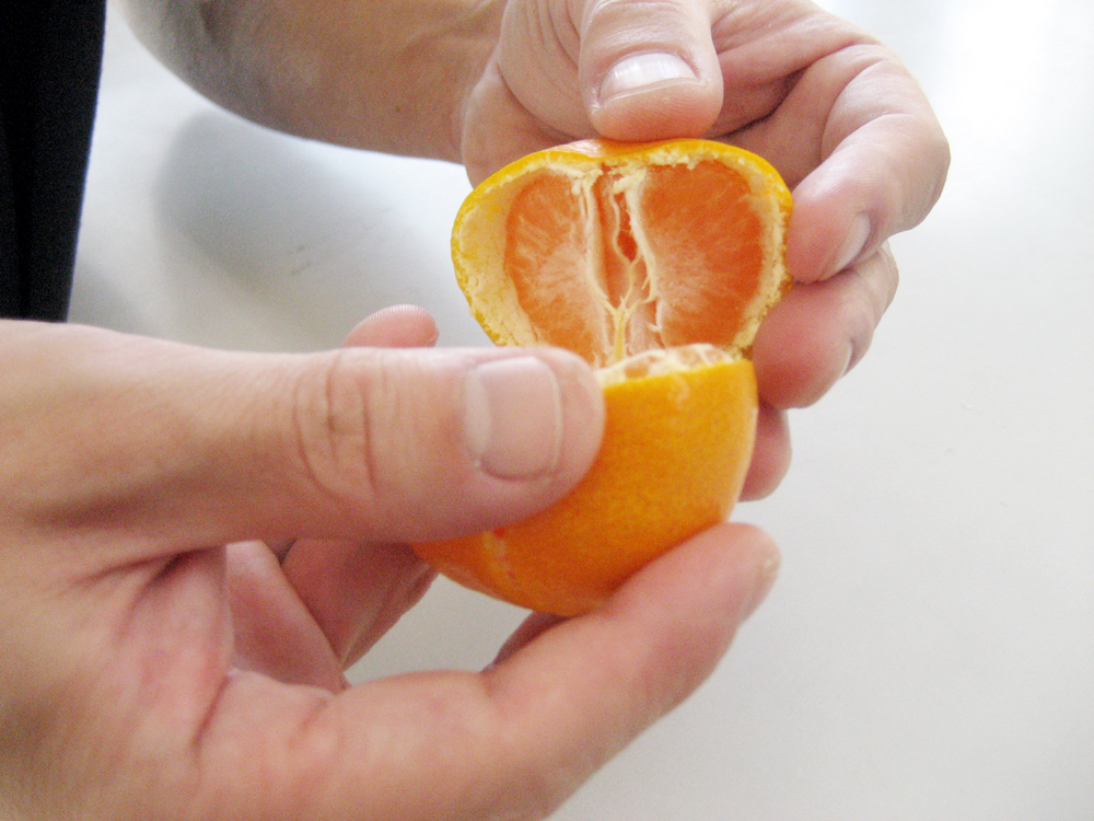 濃厚小粒みかん「ひとしずく 」7㎏