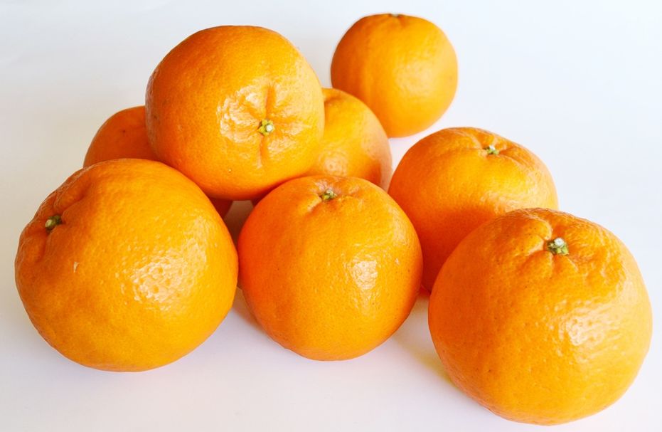 「ポンカン」2.5㎏