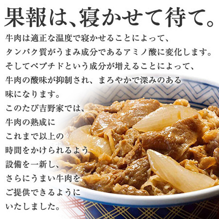 吉野家牛丼の具 120g×10食