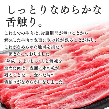 吉野家牛丼の具 120g×10袋