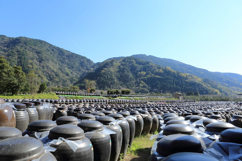 「桷志田」黒酢の人気セット（配送：九州限定）