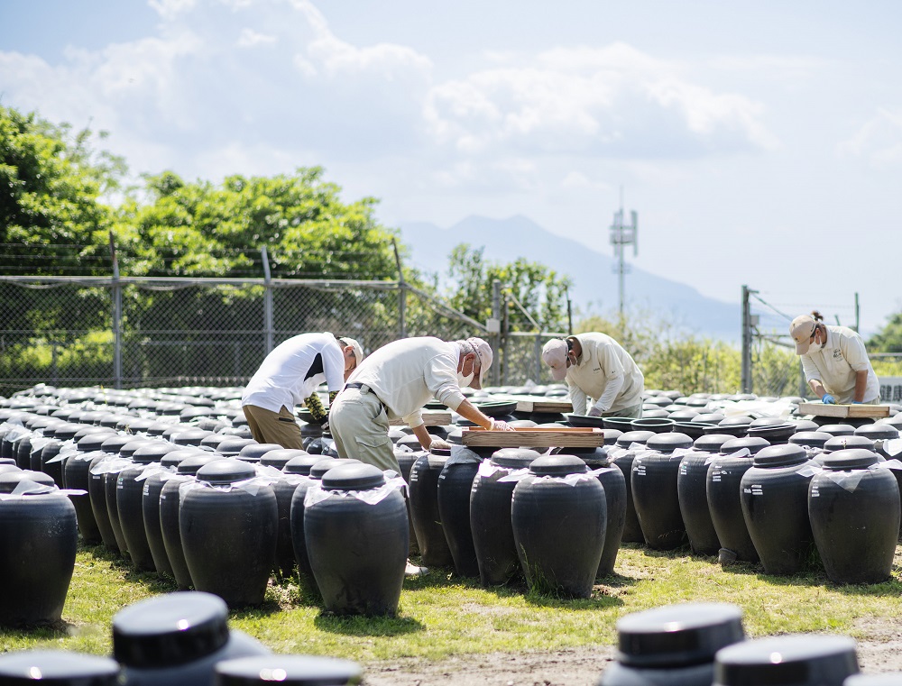 「桷志田」黒酢の人気セット（配送：九州限定）