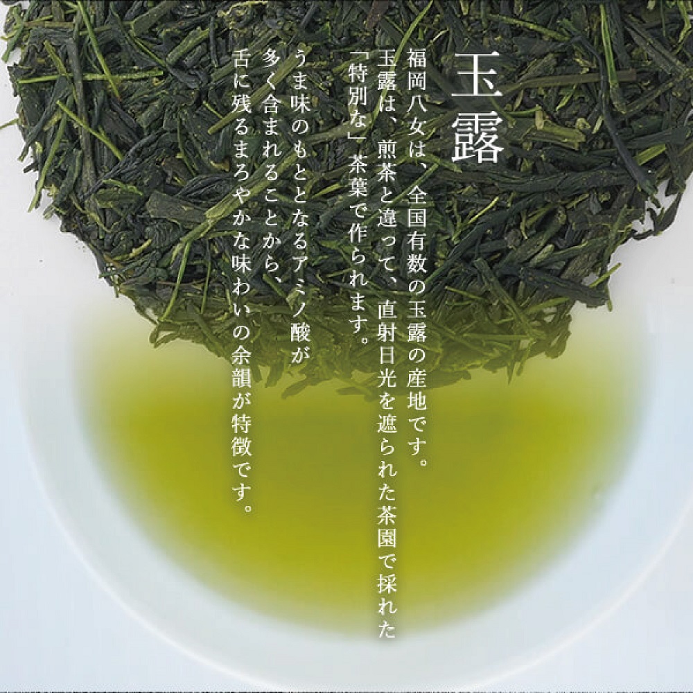 極上八女深蒸し茶セット