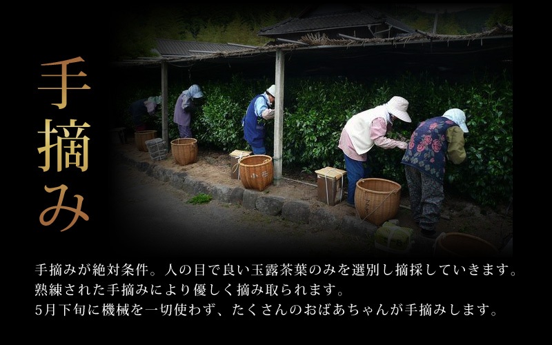 八女玉露スイーツ 洋菓子セット